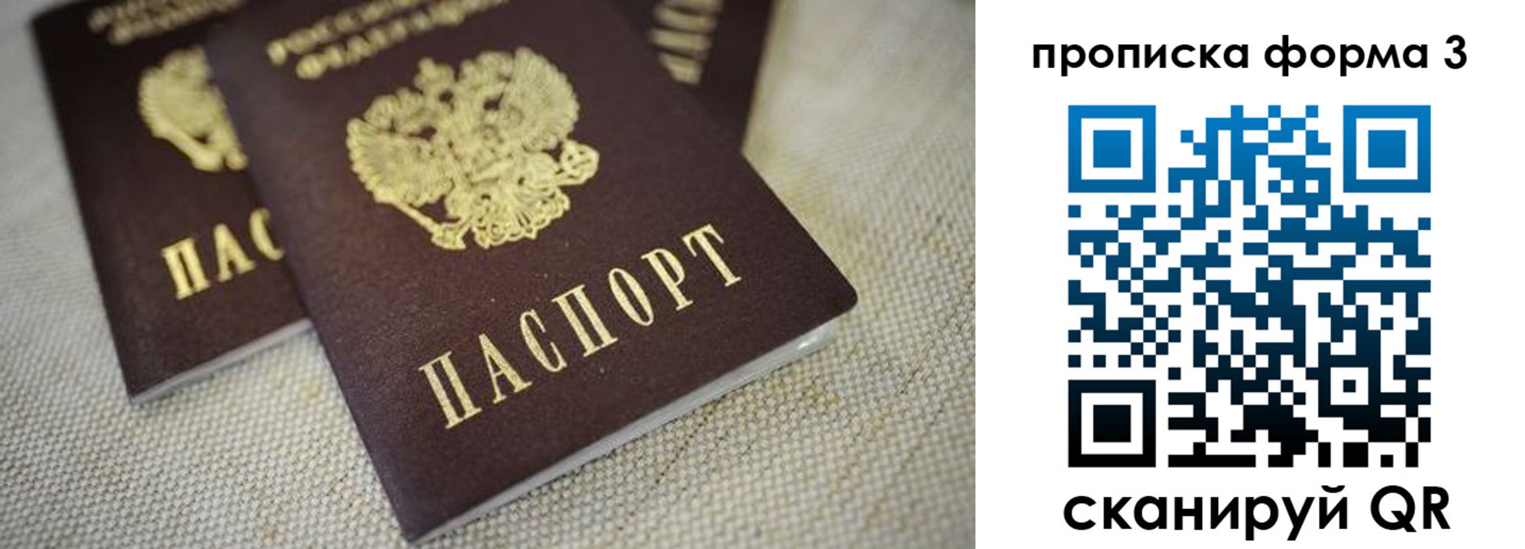 прописка поиск в Ардоне